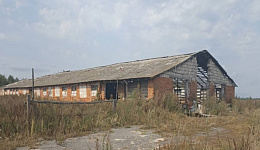 Коровник, Светлогорский р-н, д. Славань