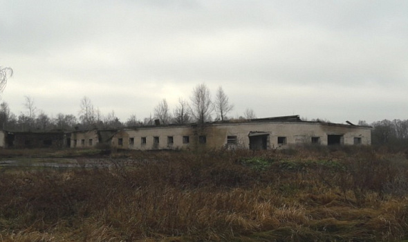 Свинарник, Гомельская обл., Петриковский р-н, д. Новые Головчицы