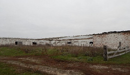 Свинарник, д. Алексичи